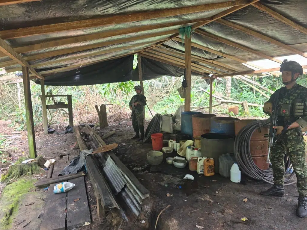 Ejército destruye dos laboratorios de coca en Meta